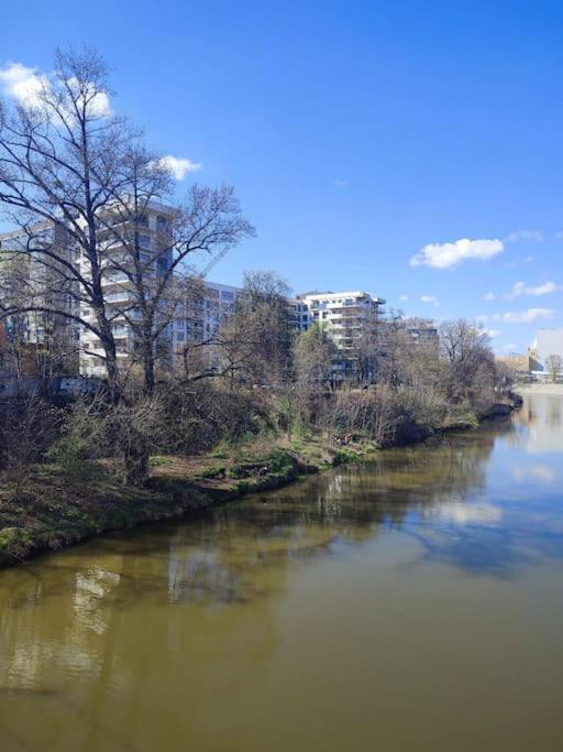 Green Apartment Apartment Breslau